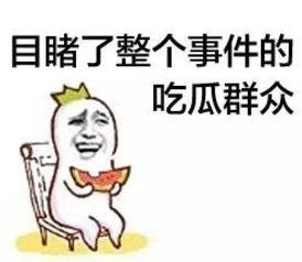 娱乐吃瓜菌走向共和,一场文化变革的见证